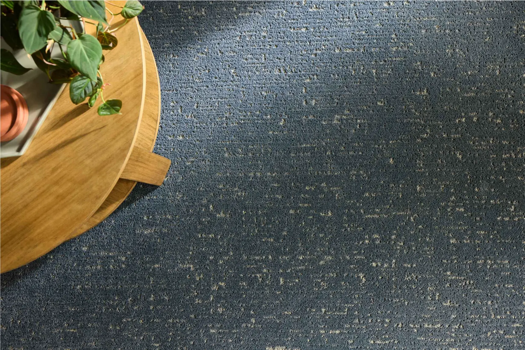 Shaw Curated Tone carpet in Deep Indigo in a styled living room. Carpet dealer in Winter Haven, FL